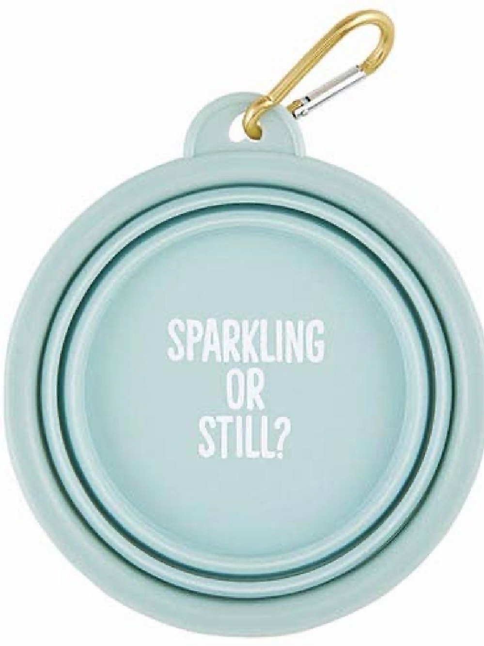 Sparkling or Still? Collapsible Dog Bowl - Light Blue